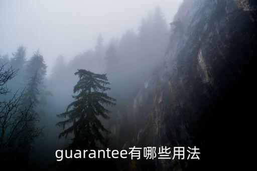 guarantee有哪些用法