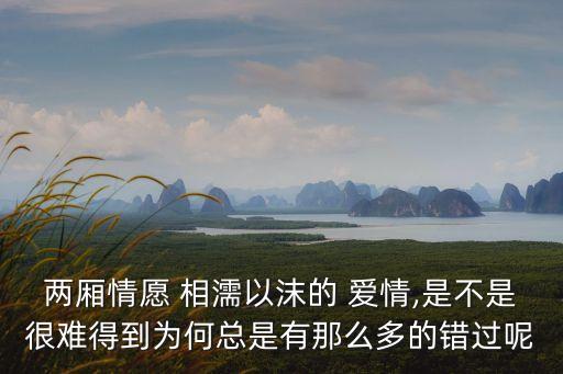 相濡以沫的愛情,愛情是什么樣子?