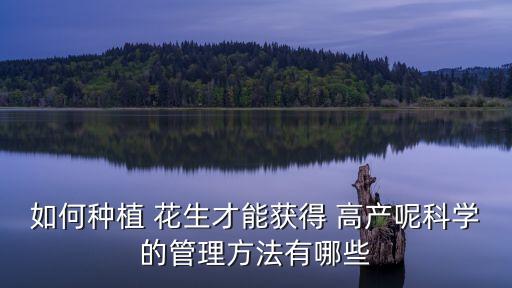 花生高產(chǎn)栽培技術(shù),怎么種花生才能高產(chǎn)?