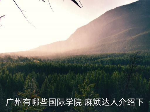 廣州有哪些國際學院 麻煩達人介紹下