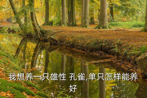 孔雀好養(yǎng)嗎,一個(gè)月的孔雀好養(yǎng)嗎