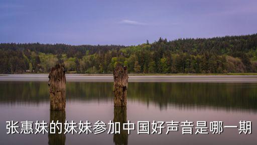 張惠妹的妹妹參加中國好聲音是哪一期