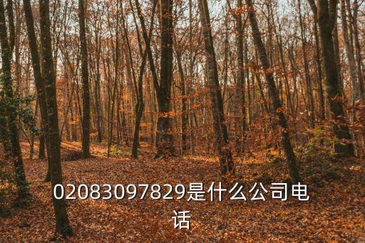 02083097829是什么公司電話