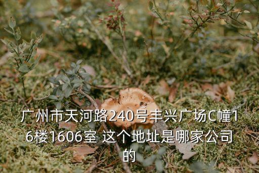 廣州市天河路240號(hào)豐興廣場C幢16樓1606室 這個(gè)地址是哪家公司的
