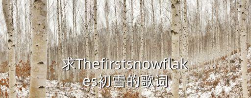 Snowflakes,snowflake是可數名詞嗎