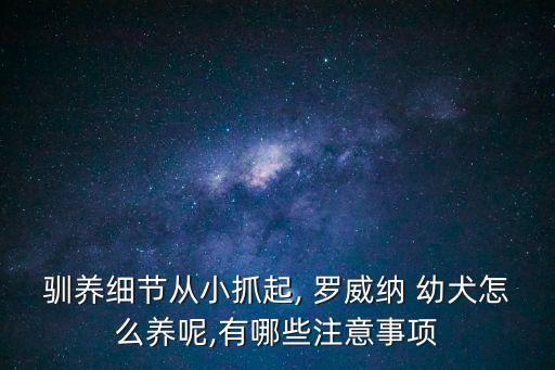 馴養(yǎng)細(xì)節(jié)從小抓起, 羅威納 幼犬怎么養(yǎng)呢,有哪些注意事項(xiàng)
