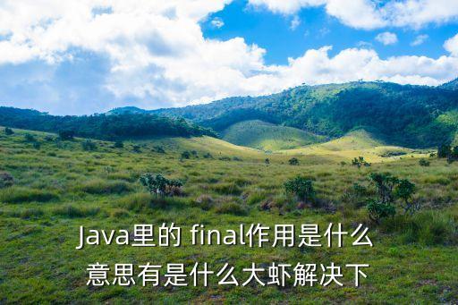 final是什么意思,icpc ecfinal是什么意思