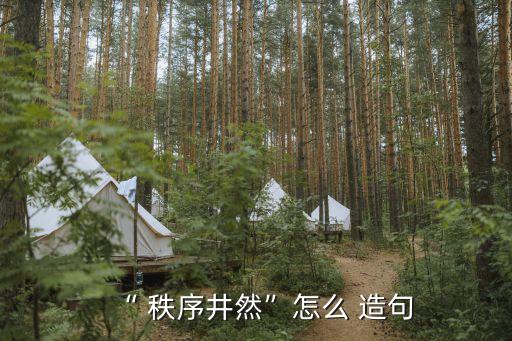 “ 秩序井然”怎么 造句