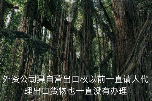 廣州外商麗池部長電話，涉及外商債務(wù)的咨詢