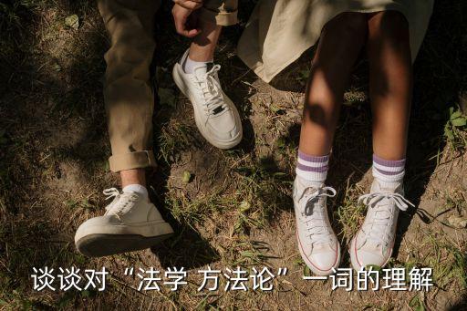 談?wù)剬Α胺▽W(xué) 方法論”一詞的理解