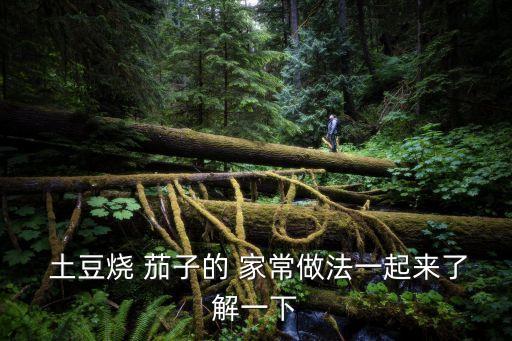 家常茄子燒土豆,懶人燒茄子的做法