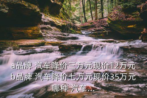 a品牌 汽車降價三萬元現價12萬元b品牌 汽車降價七萬元現價35萬元哪種 汽車...