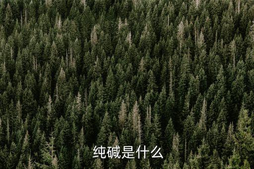 純堿化學式,小蘇打 蘇打 純堿化學式