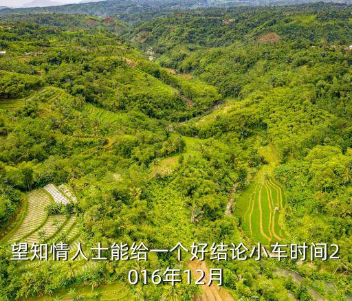 望知情人士能給一個好結論小車時間2016年12月