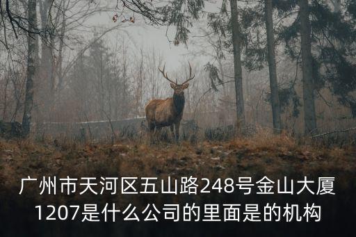 廣州市天河區(qū)五山路248號(hào)金山大廈1207是什么公司的里面是的機(jī)構(gòu)