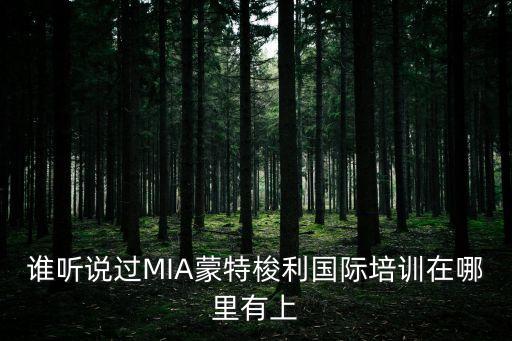誰聽說過MIA蒙特梭利國際培訓在哪里有上