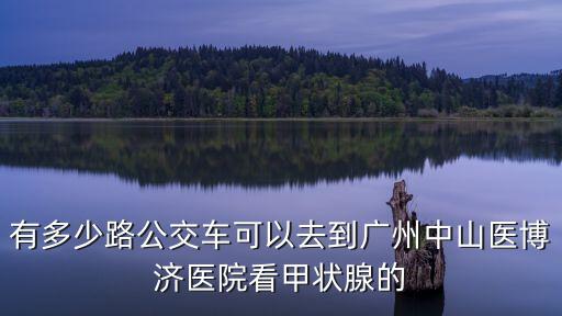廣州中山醫(yī)博濟(jì)甲狀腺，有多少路公交車可以去到廣州中山醫(yī)博濟(jì)醫(yī)院看甲狀腺的
