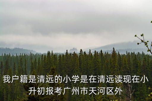 廣州市天河區外語小學，廣州天河小學二年級英語期末考了85分算差嗎