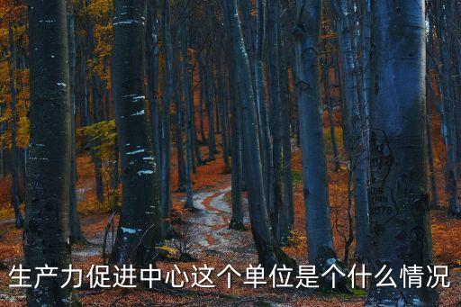 廣州市番禺區生產力促進中心，廣州生產力促進中心怎么樣