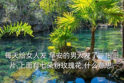 每天給女人發 早安的男人發了一張圖片,上面有七朵粉玫瑰花,什么意思...