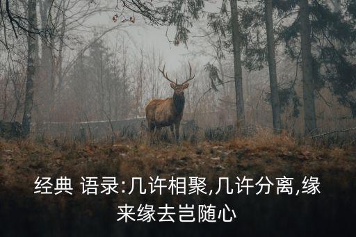經典 語錄:幾許相聚,幾許分離,緣來緣去豈隨心