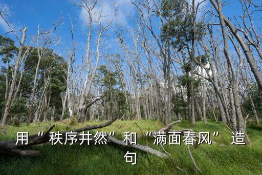 秩序造句,維護秩序造句