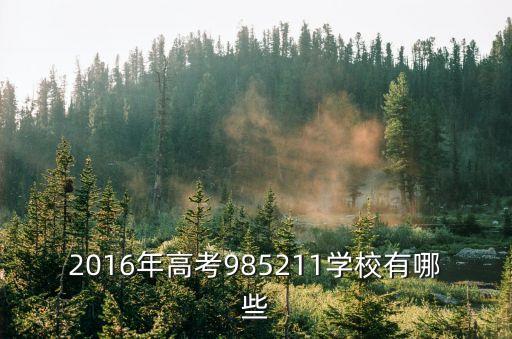 2016年高考985211學校有哪些