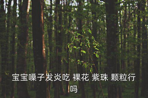 寶寶嗓子發炎吃 裸花 紫珠 顆粒行嗎