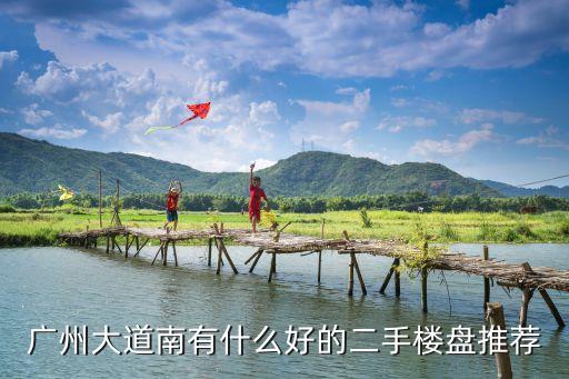 廣州大道南有什么好的二手樓盤推薦