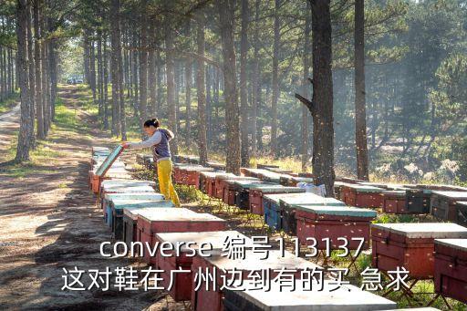 converse 編號113137 這對鞋在廣州邊到有的買 急求
