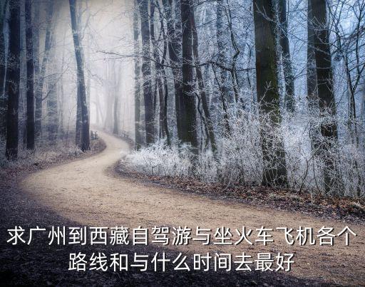 求廣州到西藏自駕游與坐火車飛機各個路線和與什么時間去最好