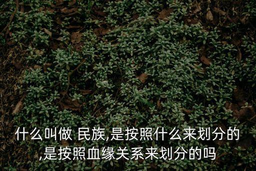 什么叫做 民族,是按照什么來劃分的,是按照血緣關系來劃分的嗎