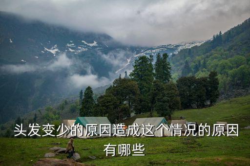  頭發(fā)變少的原因造成這個(gè)情況的原因有哪些