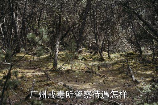 廣州市戒毒所科員待遇，廣州市女子戒毒所公務(wù)員做甚么的