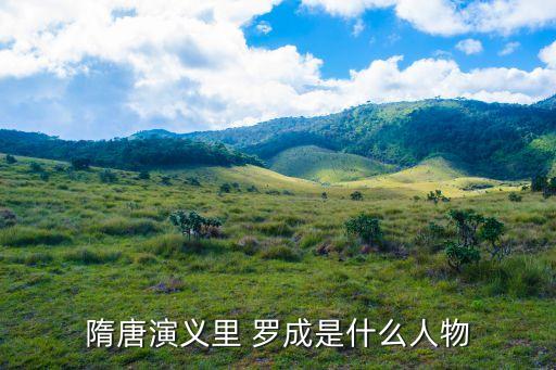 羅成原型,《隋唐英雄傳》羅成是否有羅成?