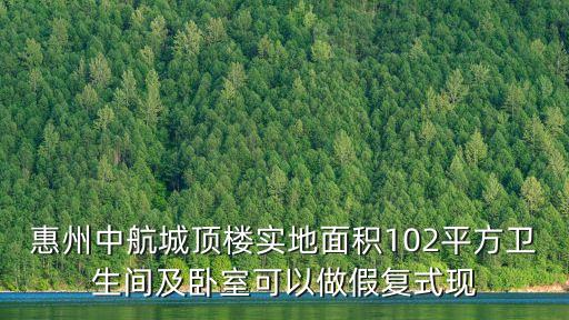 惠州中航城頂樓實地面積102平方衛生間及臥室可以做假復式現