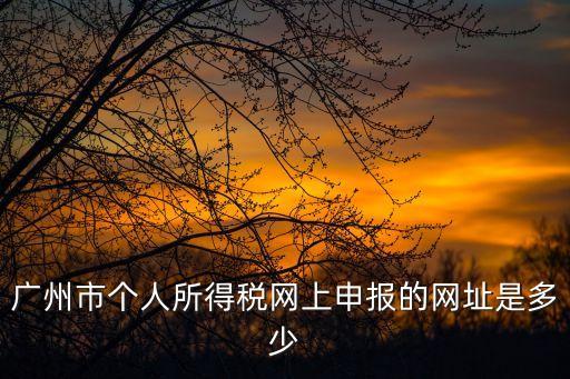 廣州市個人所得稅網上申報的網址是多少