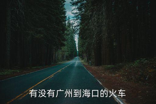 有沒有廣州到海口的火車