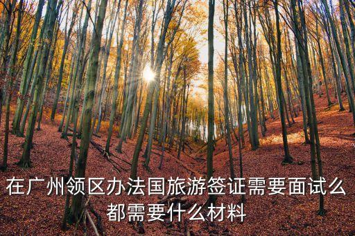 在廣州領區辦法國旅游簽證需要面試么都需要什么材料
