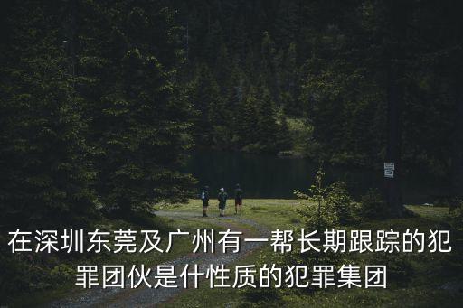 廣州子弘集團 張海橋，在深圳東莞及廣州有一幫長期跟蹤的犯罪團伙是什性質的犯罪集團