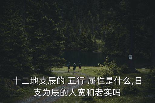 十二地支辰的 五行 屬性是什么,日支為辰的人寬和老實(shí)嗎