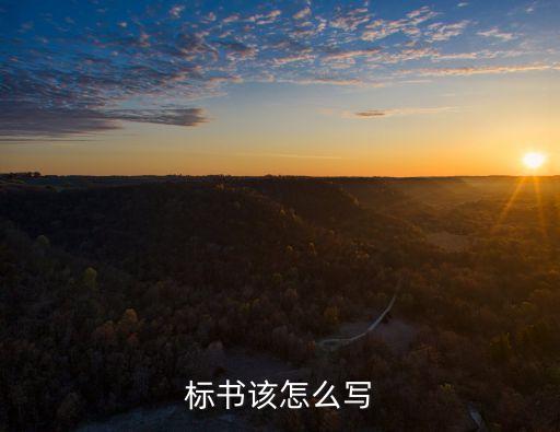 招標書模板,寫一份簡單的招標書模板