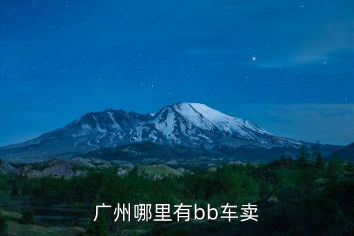 廣州哪里有bb車賣
