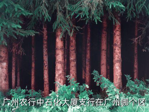 廣州天河北中石化，廣州市天河北中石化大廈郵編