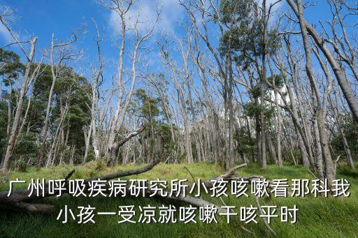 廣州呼吸疾病研究所小孩咳嗽看那科我小孩一受涼就咳嗽干咳平時