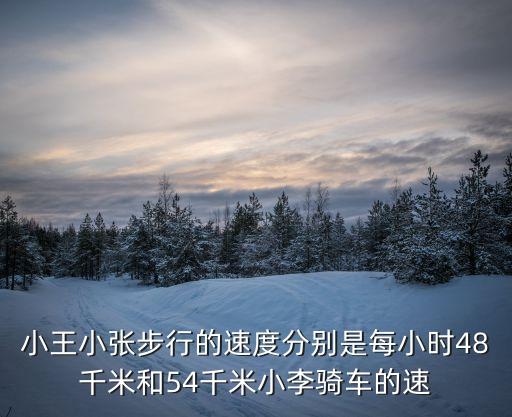 小王小張步行的速度分別是每小時(shí)48千米和54千米小李騎車(chē)的速