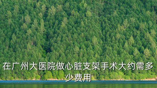 廣州醫院心臟支架，在廣州大醫院做心臟支架手術大約需多少費用