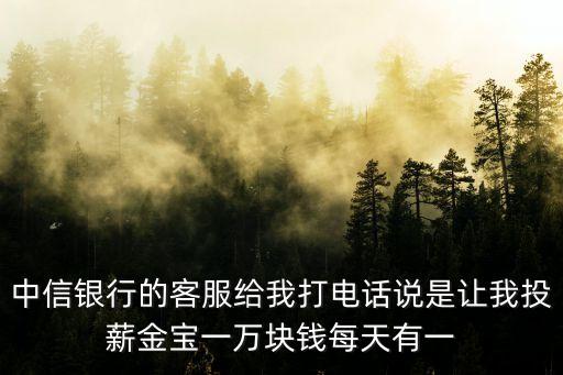 中信銀行的客服給我打電話說是讓我投薪金寶一萬塊錢每天有一