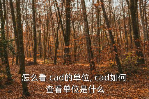 怎么看 cad的單位, cad如何 查看單位是什么