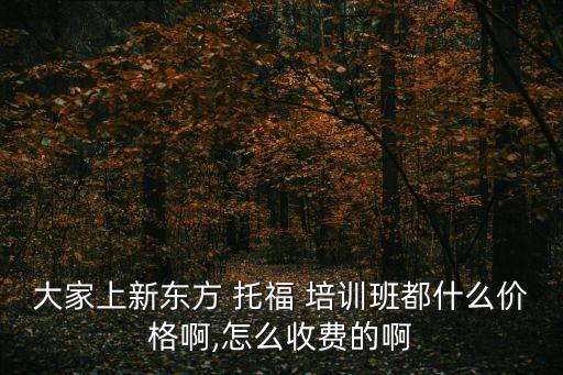 大家上新東方 托福 培訓班都什么價格啊,怎么收費的啊